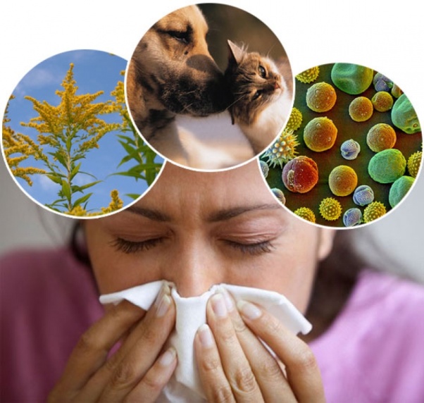30 мая - Всемирный день борьбы против астмы и аллергии